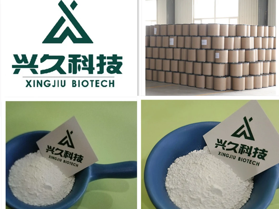 Lidocaine 100% Through Customs CAS 137-58-6 Pharmaceutical Ingredients