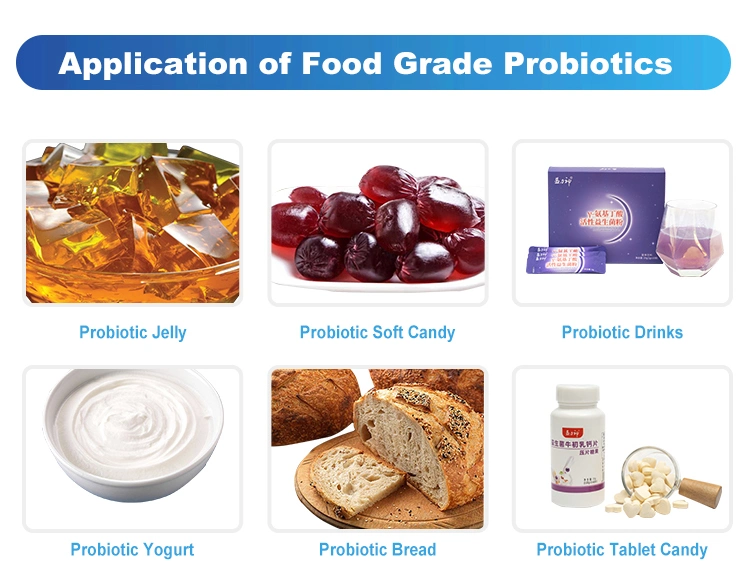 Pediococcus Pentosaceus Food Ingredients From China